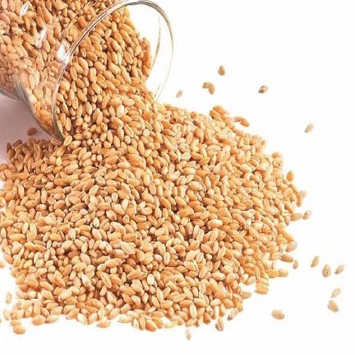 Vedic Sharbati wheat (10Kg)